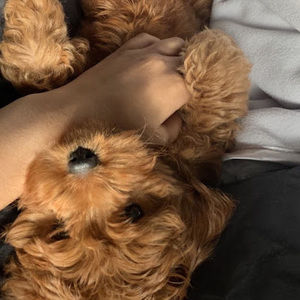 Meet your Posher, Kathy